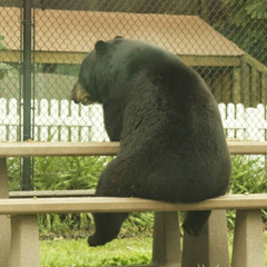 MichaelJayHD's tweet photo. Conférence XBOX de fou, qui à elle seule détruit le State of Play et le Summer Game Fest.
Mais il est où mon ours ? https://t.co/JeC7cmBnnv