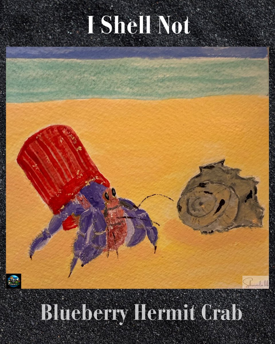 sharmihb's tweet photo. The Blueberry Hermit Crab. Endemic to Okinawa and Japan’s Ryukyu Islands. Near Threatened (Japan MoE). Not even on the global IUCN list.
Hermit crabs don’t grow shells. They borrow them from snails. But ocean acidification is dissolving shells

#TheEndangeredClub #WorldOceansDay https://t.co/C9hrxmbcOI