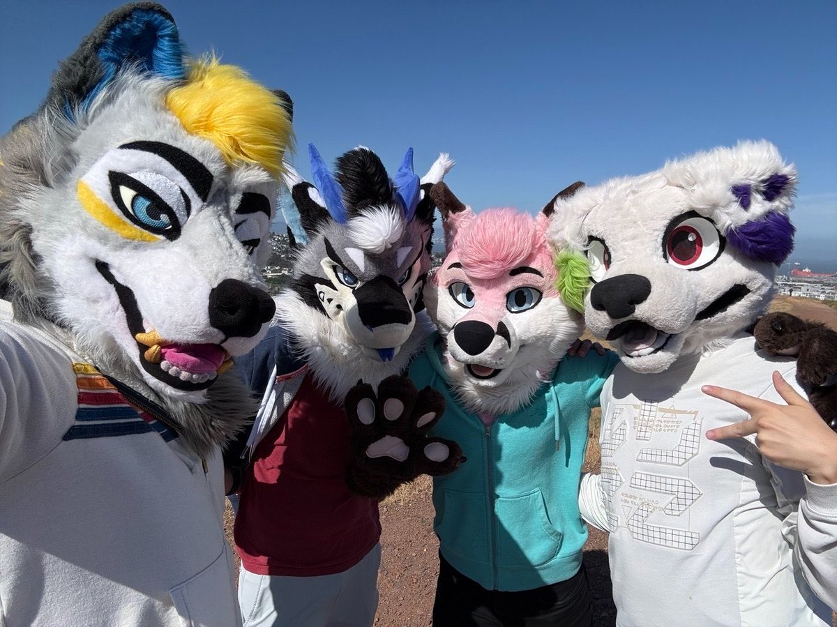 pjfoxes 🦊 🩷 tweet media