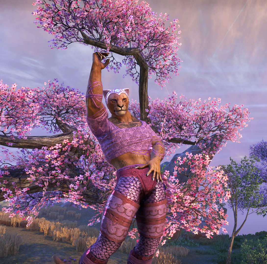 JHartEllis's tweet photo. Pink fashion in ESO! Congrats to our Spicy screenshot contest winners: karkir72, azora53, and Mloking!
🩷🩷🩷 https://t.co/W9xJnOVTib