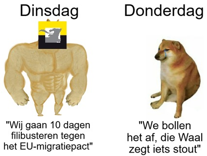 Jongnva's tweet photo. ✨Sterke ruggengraat ✨ https://t.co/VKnMsgTBhh