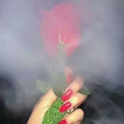 C_freshtodeath's tweet photo. NFT utility is evolving beyond JPEGs. Real-world assets, ticketing, identity, and membership are where the next wave of adoption lives. 🌻 🌟 🌱 https://t.co/HBgjb6sGe1