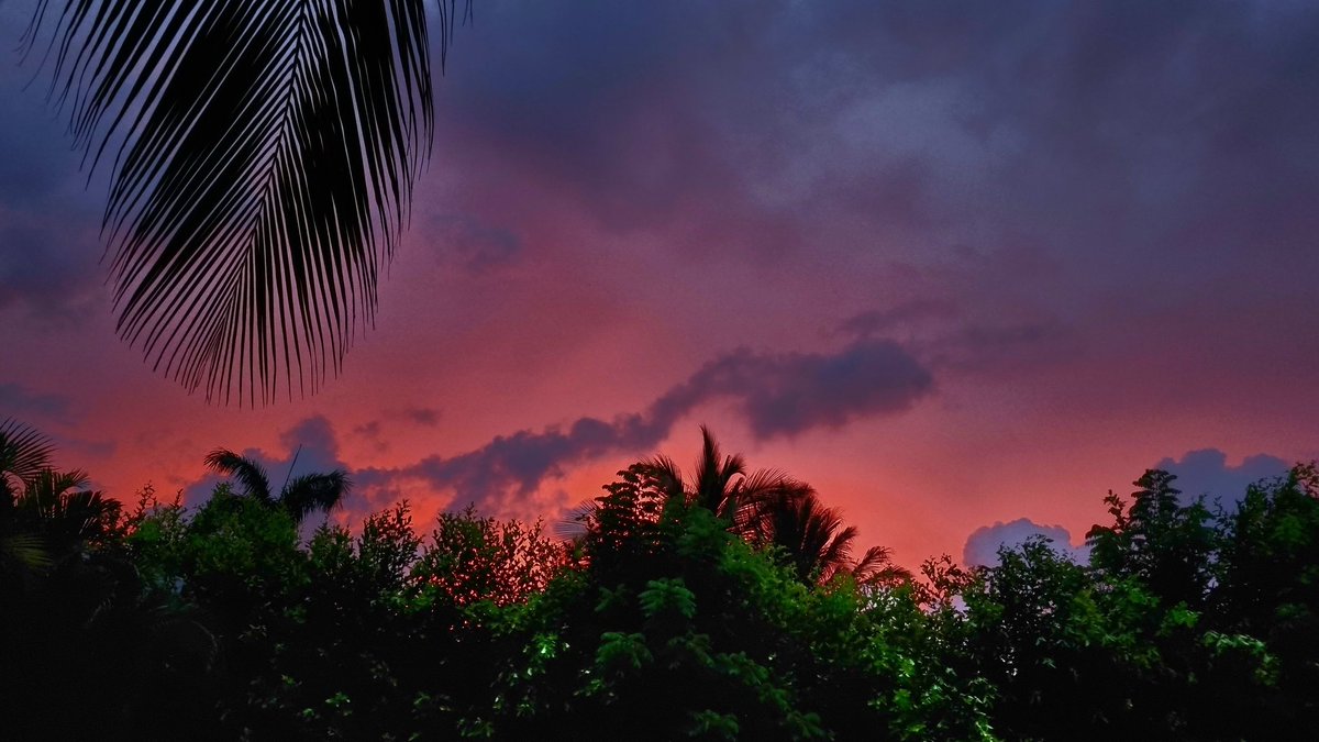 BUSCADOR1373's tweet photo. #mitiempoideam #FelizDomingo 7/6/2026, 18:23h. Fulgurante atardecer Caribeño, Santa Verónica, Atlántico. @IDEAMColombia
@EdPiotrowski @wilcheschaux @GracianaXXI @rodrimartut @_iclima @TxStormChasers @Meteovargas @AerocivilCol @Climawcosta @elheraldoco @Gobatlantico https://t.co/bZnDLWmhRQ