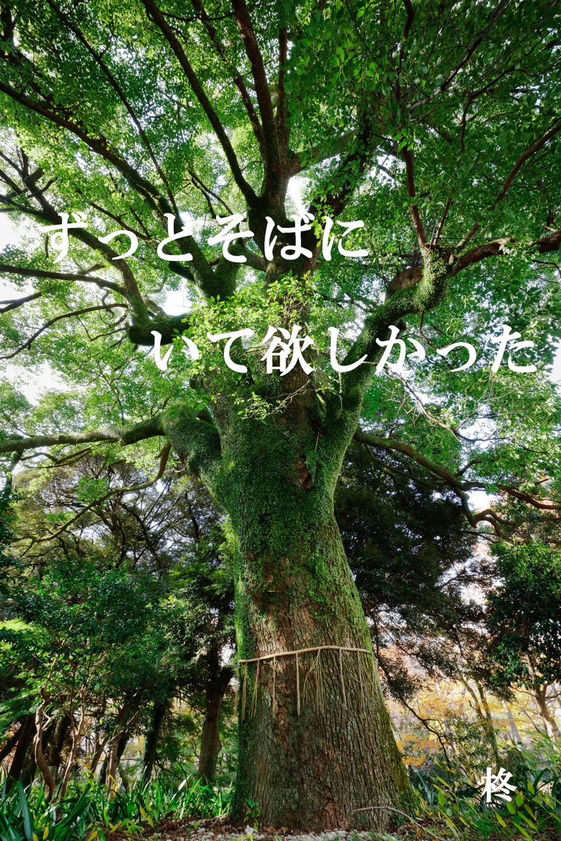 9hiiragi's tweet photo. カクヨム掲載短編「ずっとそばにいて欲しかった」

彼女のことを
ずっと見守り続けていきたいたかった……

https://t.co/xqBMn4HbC7

是非、ご覧ください

#カクヨム https://t.co/rMJuMbNwHW