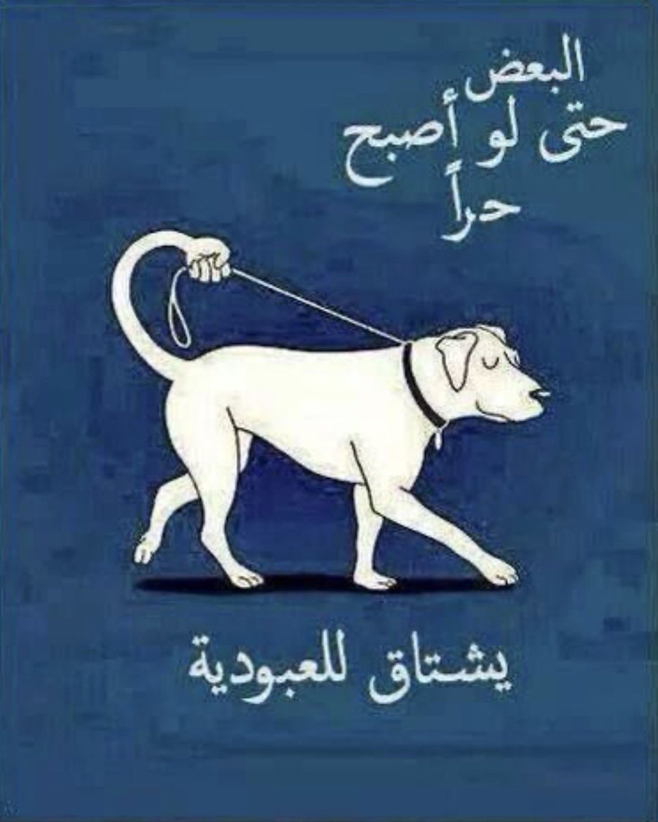 yvtmi's tweet photo. فيه ناس تاخذ صيفي بكامل إرادتها https://t.co/2HqrFaHBzo