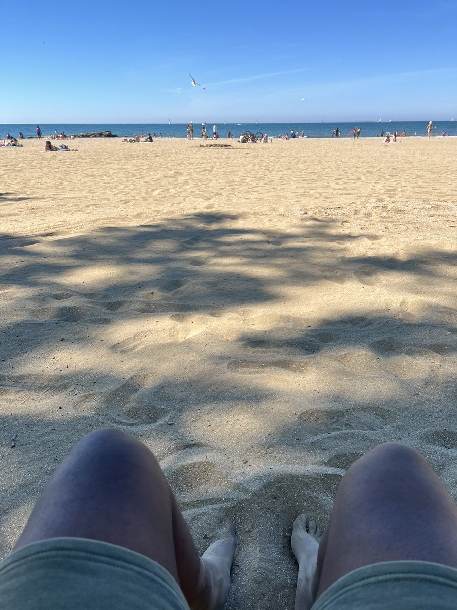 carrrl_'s tweet photo. ☀️ https://t.co/qmvPrVFfux