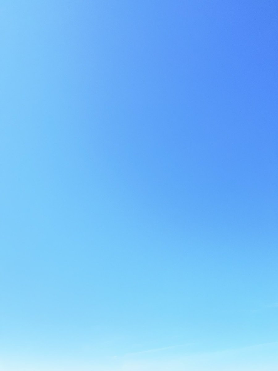 carrrl_'s tweet photo. ☀️ https://t.co/qmvPrVFfux