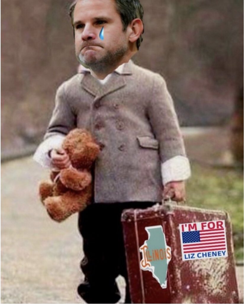 55cmvs's tweet photo. @AdamKinzinger @WhiteHouse @POTUS Fuck off little boy... https://t.co/0roAlvBbdE