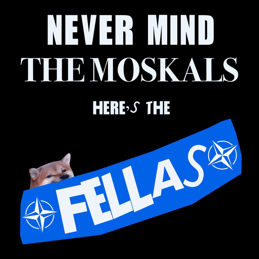 FellaFanatic's tweet photo. @lacala2b @ky_painter After 4+ years bonking, I have collected a meme for almost anything! 😁 I even have a slightly different version of this one! https://t.co/2KNqp944n2