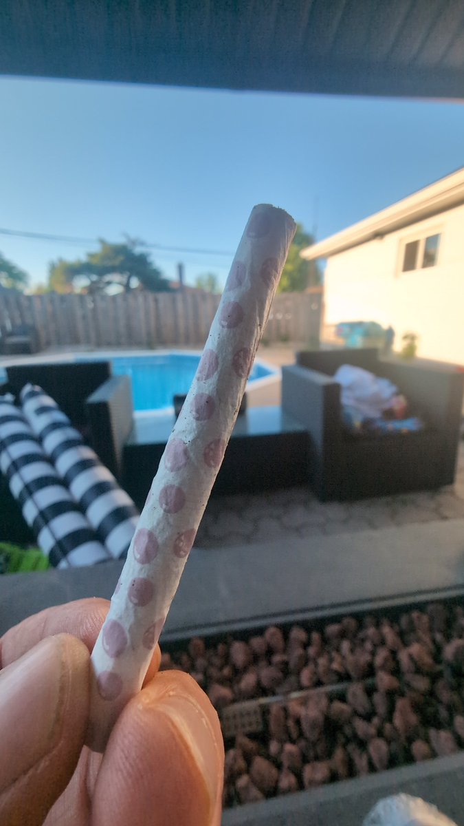 🇨🇦 Smokey 🇨🇦 tweet media