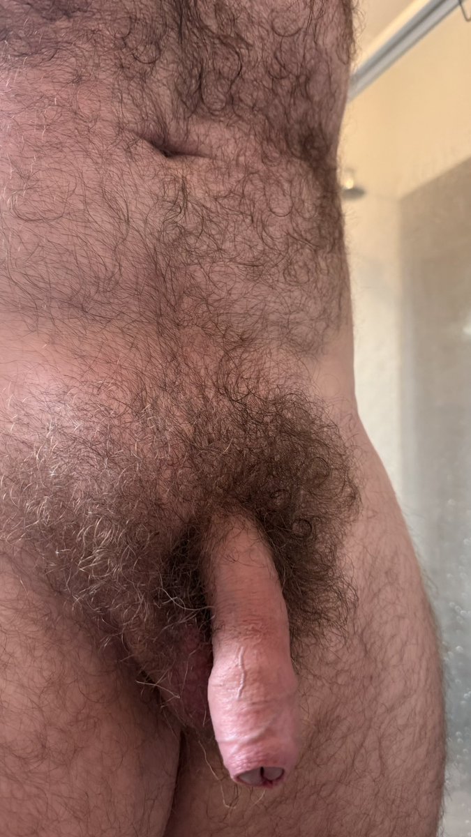 AusGayBear tweet media