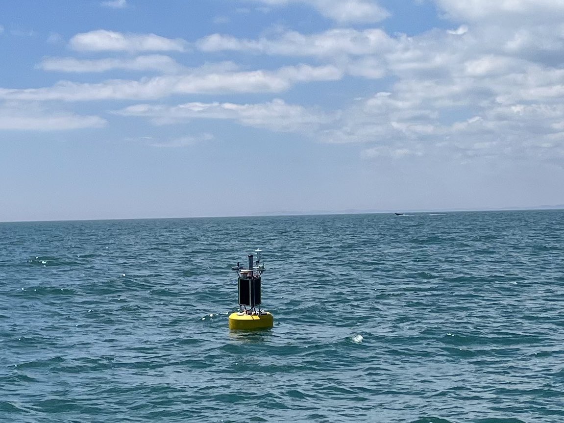 TimWenger716's tweet photo. There’s a new weather buoy off Buffalo in the eastern end of Lake Erie.  It’s super helpful for boating and weather in general, with wind speed, direction, water temp and even a webcam.  https://t.co/Yt17gjZw9P https://t.co/HdjKExHopG