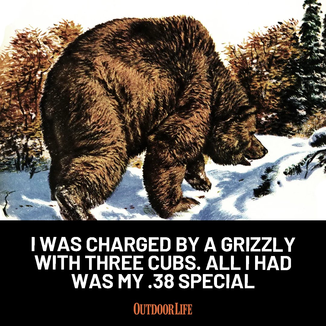outdoorlife's tweet photo. "I swung the gun up just as the bear's big brown head broke out of the brush four steps from me": https://t.co/xnVeamAdjN https://t.co/oWQvBwnGbN