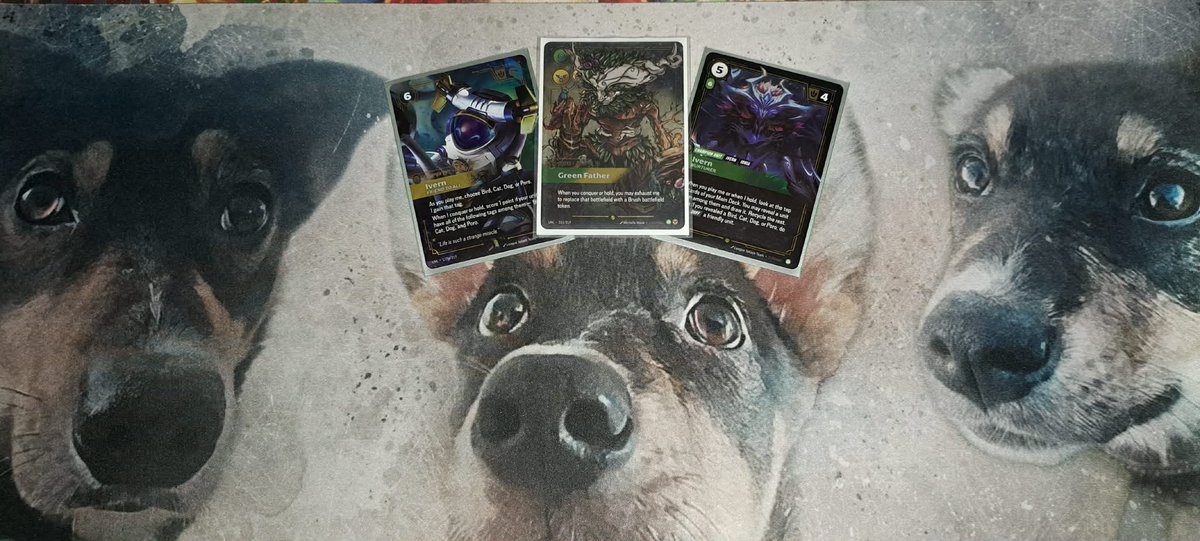 iratorum's tweet photo. Amazingly finished 2nd in my skirmish yesterday with Ivern, my king🌲, pesky Viktor in Finals

Got to practice some important matchups, which is great for the roulette at #RQUtrecht next weekend, have to be ready for anything to get the best-of, feeling confident on the list🌲😌 https://t.co/re8BeD7891