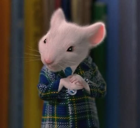 hanneilvr's tweet photo. @lissa_x0 eu na primeira vez que li o nome dele só consegui pensar nesse aqui 👇 https://t.co/JrNl2a9DNH
