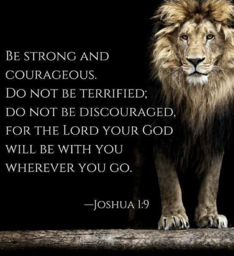 GodandCountryy's tweet photo. https://t.co/bpksgB84Gx