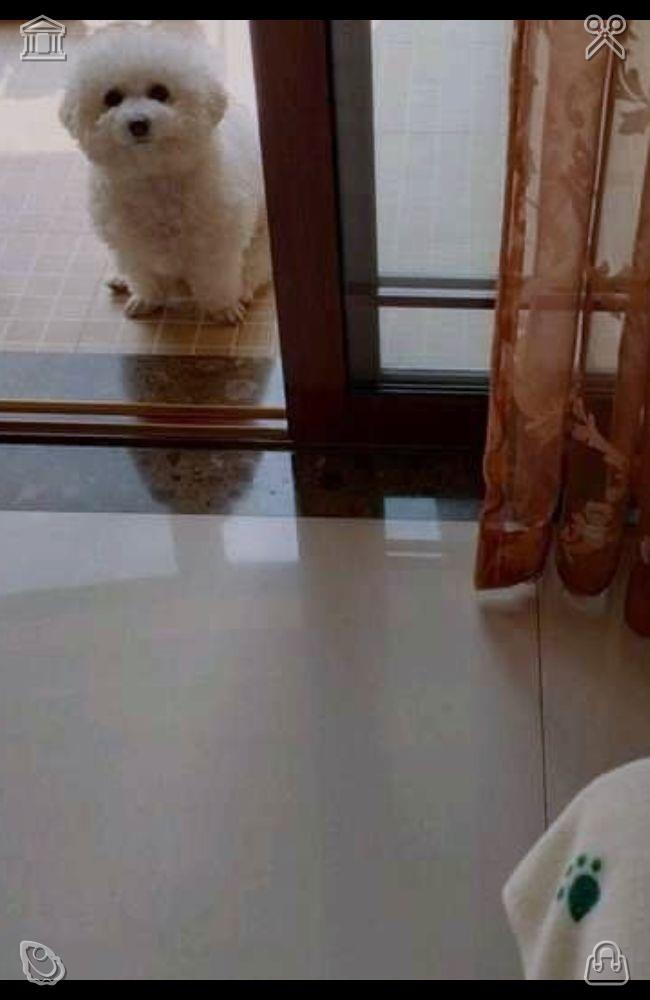 LPaolaaa's tweet photo. We conduct quality inspections every hour—that’s our company’s unwavering standard! 🥗 Once I finish my coffee, I make my way home. My roommate is still busy with their project, so I retreat to my room, opting to take a quick nap. I settle onto my bed, and my cat snuggles up https://t.co/tXAJIwOuWH