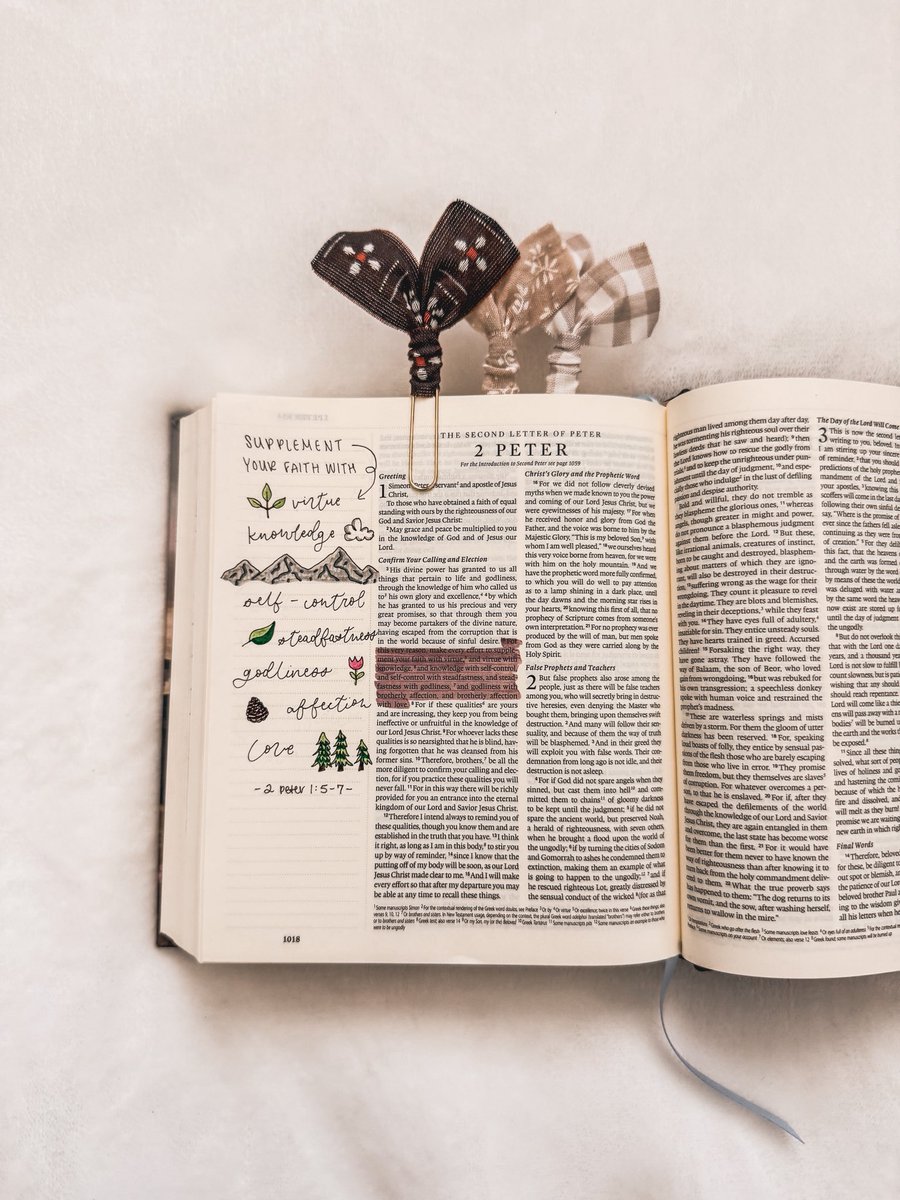 faithfullyadv's tweet photo. 2 Peter 1:5-7 🌲🤍⛰️ https://t.co/kpPLUxABqD