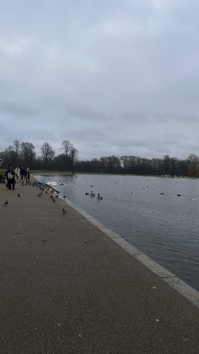 qpkam3's tweet photo. London . https://t.co/3OCEtsVlb3