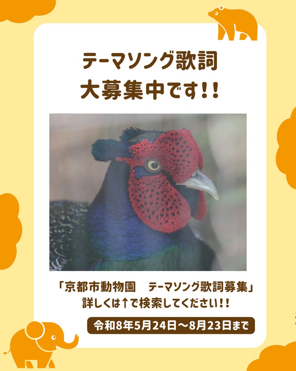 kyotoshidoubut1's tweet photo. イチジクは実がついている枝や時期によって「夏果」と「秋果」の2種類に分けられます。夏果は前年の枝(褐色)に実り6〜7月頃に収穫され、秋果は今年伸びた新しい枝(黄緑)に実り8〜10月頃に収穫される実です。
※本日は休園日です。
#京都市動物園 #kyotocityzoo #イチジク #fig #breba #Maincrop https://t.co/etXlPr0Kkr