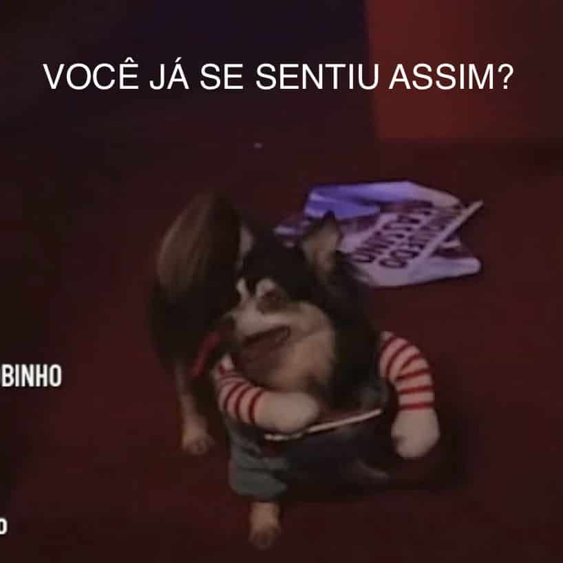 luiza tweet media