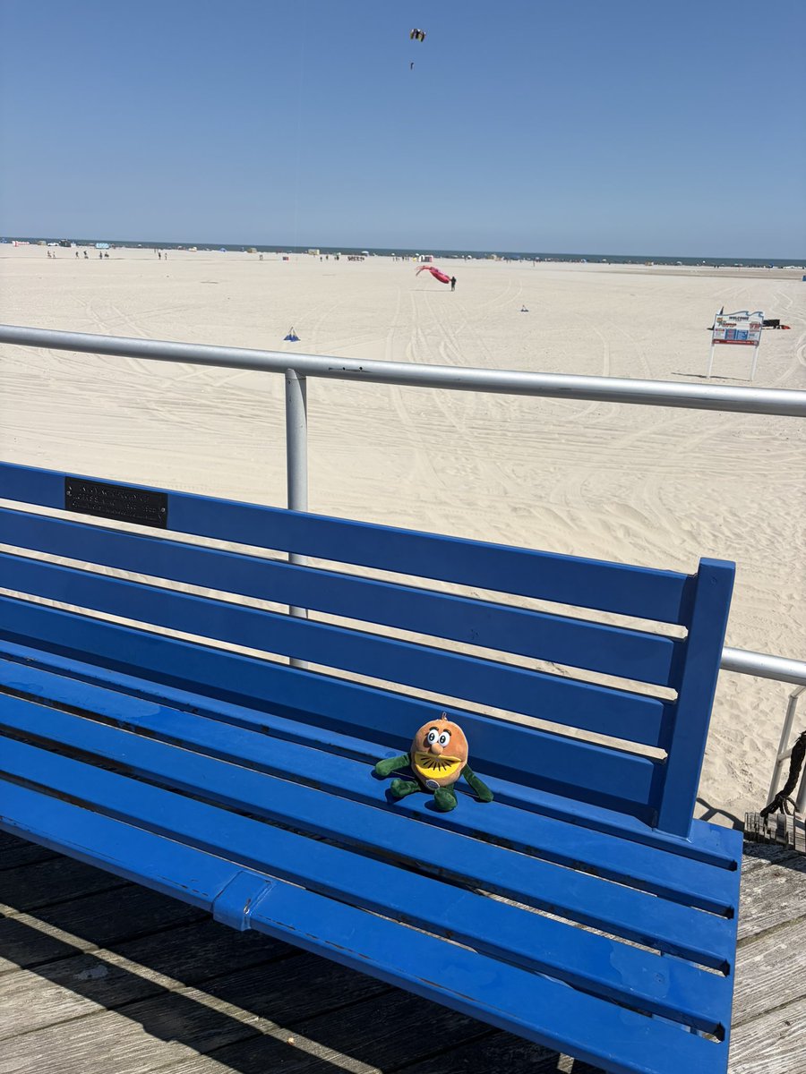 ruby_kenzie_'s tweet photo. no thoughts just beach vibes
#zespri #zesprikiwifruit #kiwi #kiwifruit #kiwibrothers #zesprikiwibrothers https://t.co/jFZSz1uZxx