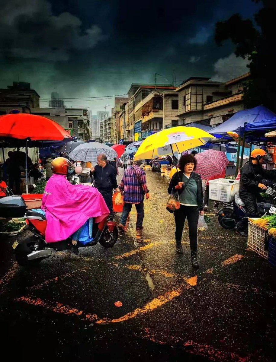 abishekgupta10's tweet photo. Quick street snap: rainy afternoon, local vendor’s umbrella has two cats napping on it  Love these tiny, cozy city surprises! https://t.co/m78nwtdtCp