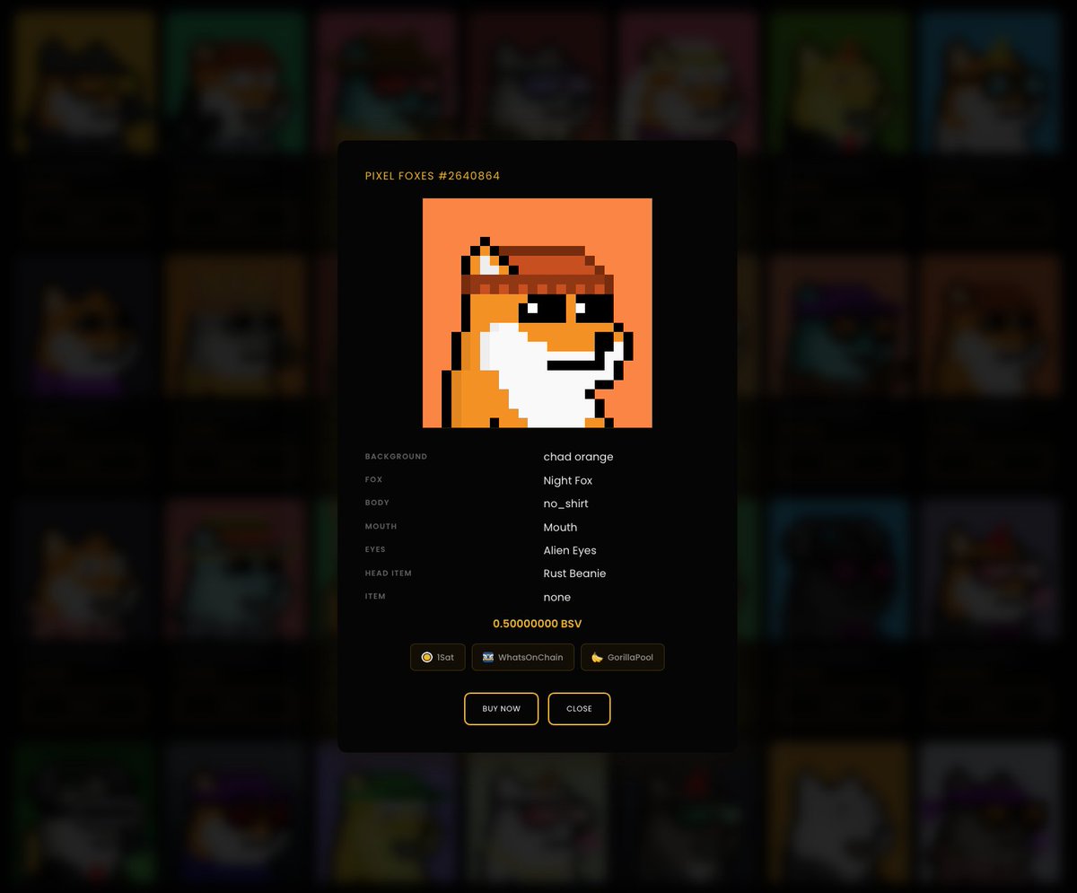 FoxesPixel's tweet photo. https://t.co/1QeGMshc2m