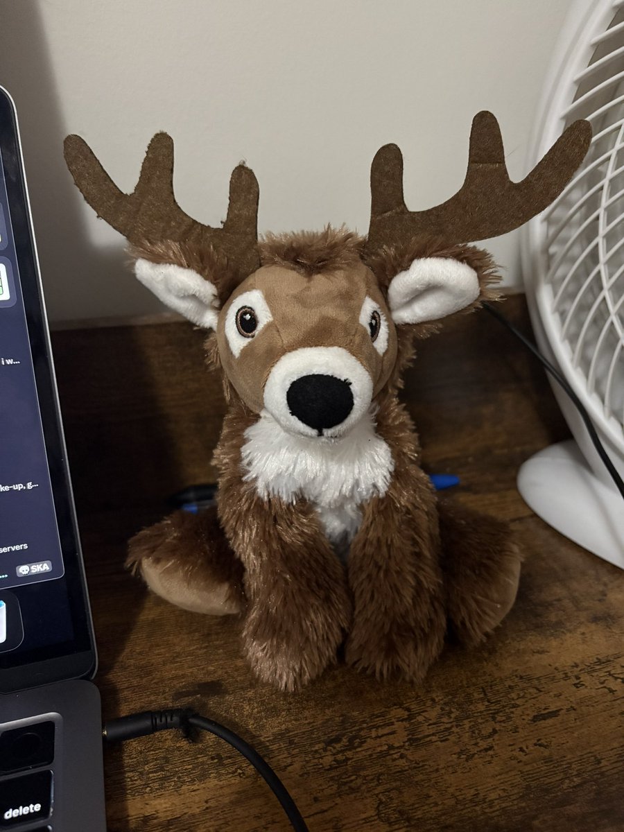 zombieprofiler's tweet photo. meet my new friend everyine https://t.co/JhC8Z1GXIT