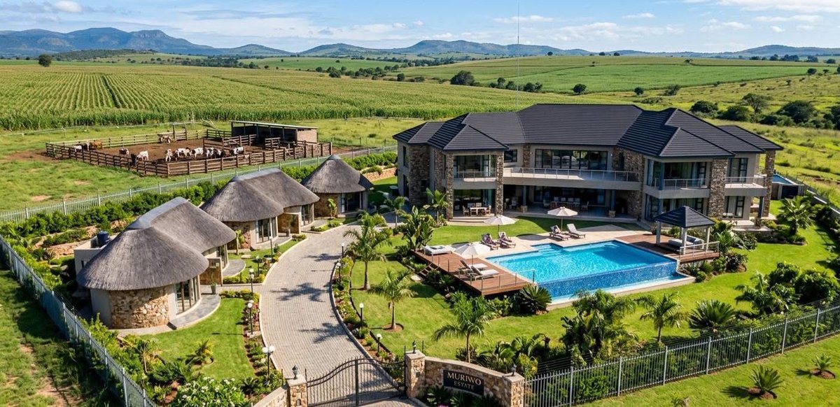 ZuluSweG's tweet photo. Real wealth https://t.co/ue2c3mPoWf
