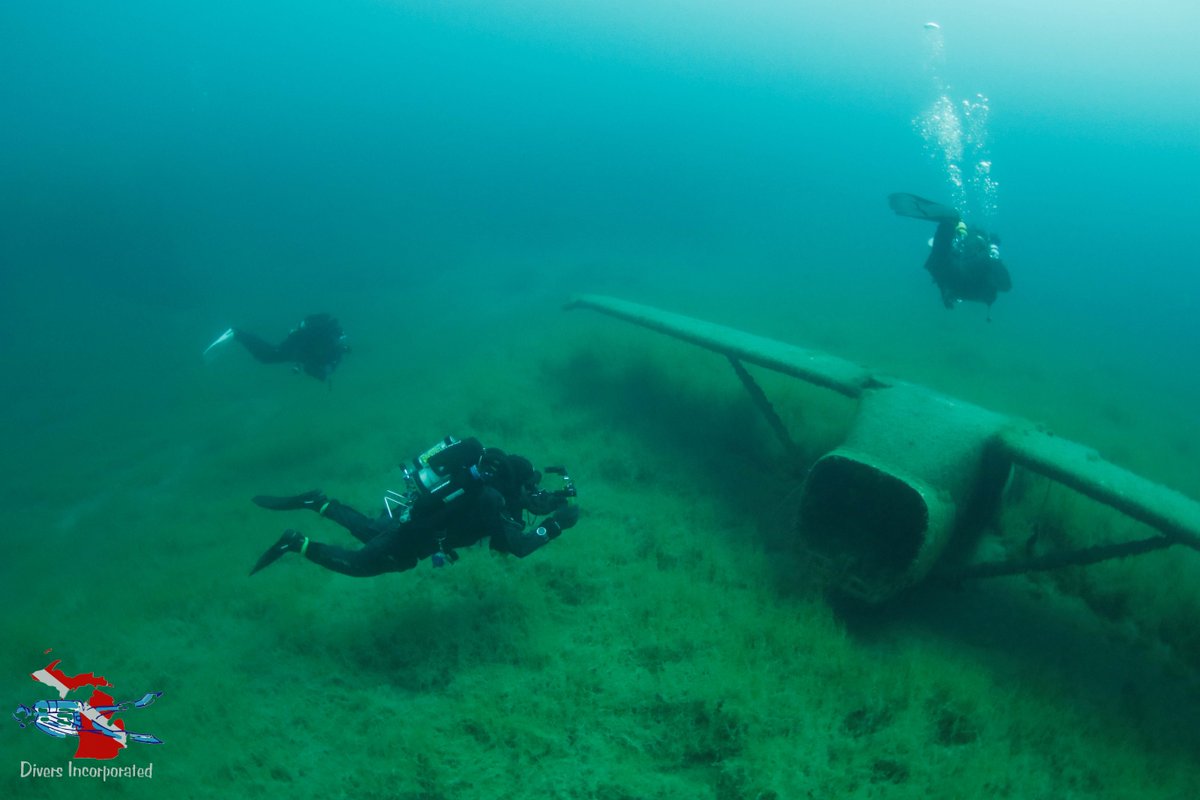 Diversinc's tweet photo. Local diving builds better divers.

More time in the water. Less distraction. More awareness of what’s actually around you. https://t.co/ZHFUhr2o4l