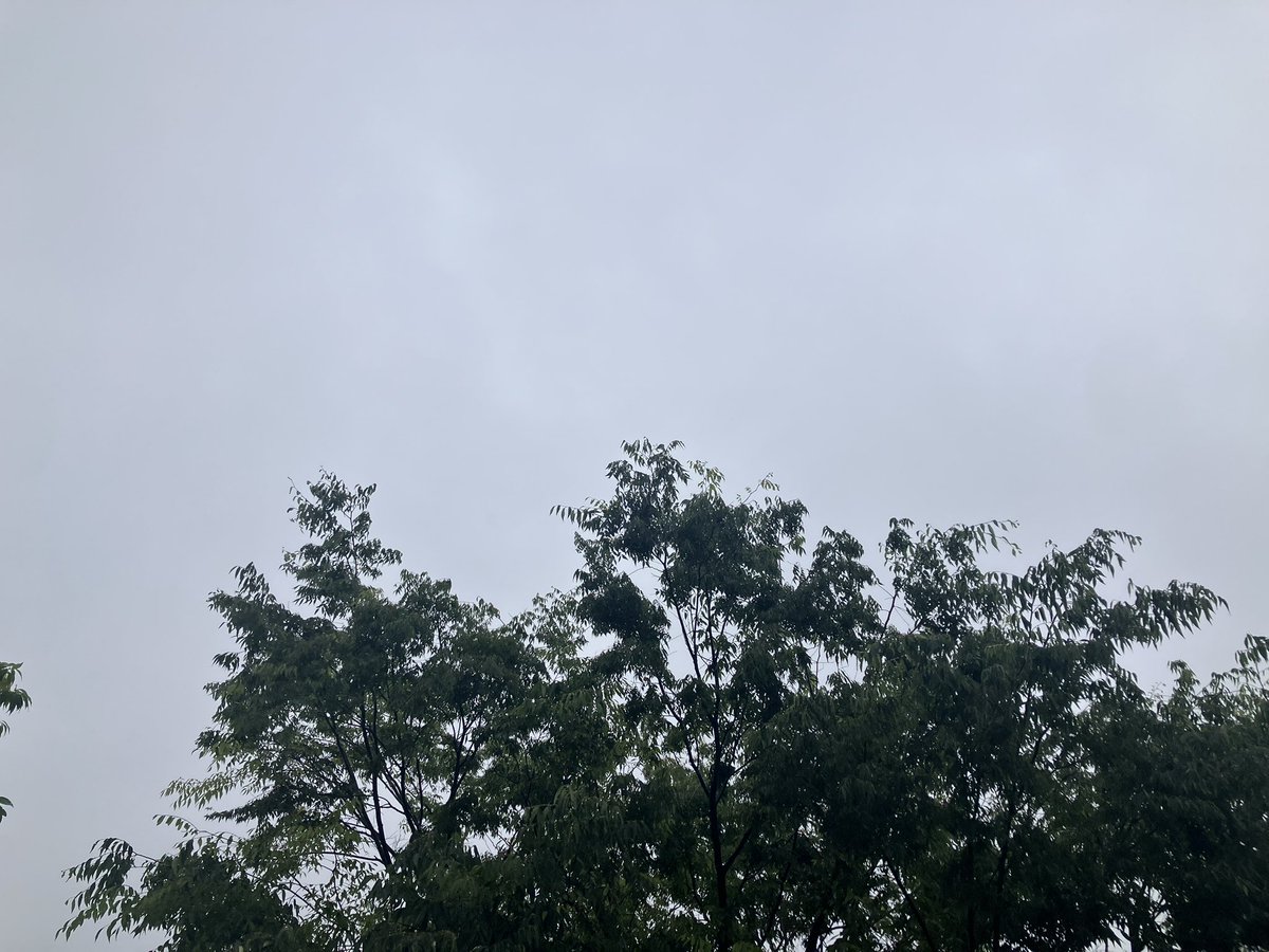 hamastar55's tweet photo. おはようございます😊
小雨

尾形君は5回1失点ナイピでしたね
次の登板もありますかね
楽しみにしています
明日からビジター6連戦
カード勝ち越ししたいですね
日曜久しぶりに ZOZO行きます https://t.co/RpTNi5LOJ6