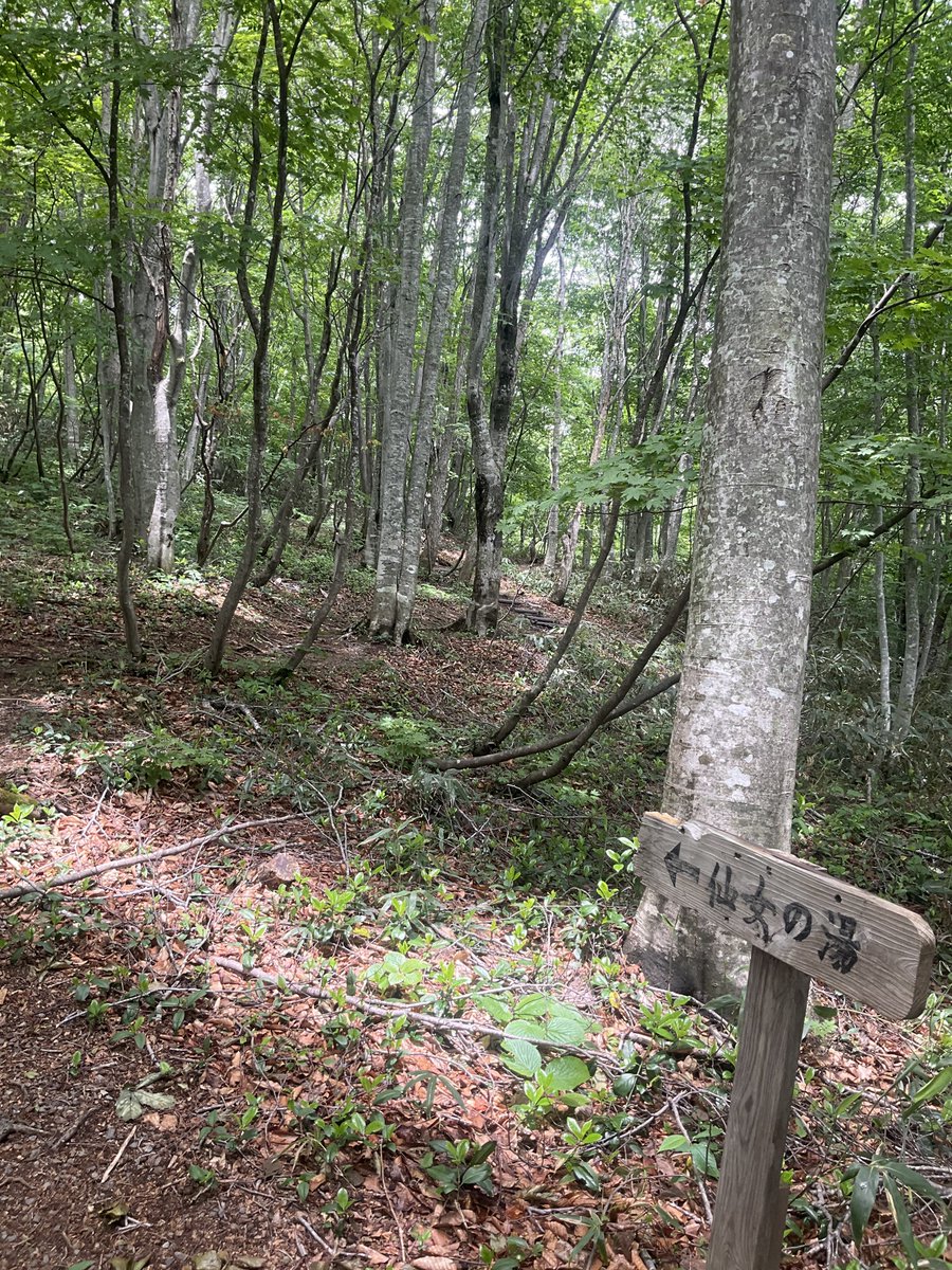 dai_iwate's tweet photo. https://t.co/LQncnBE4iK