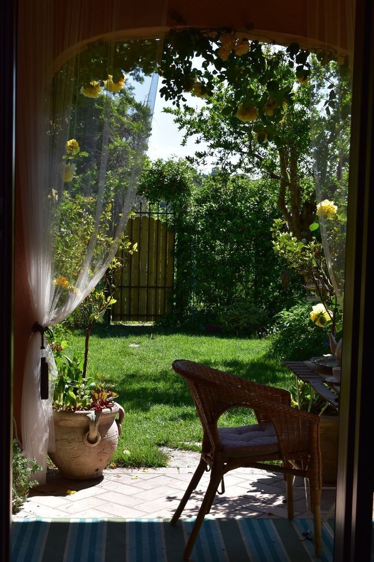 greenvibe's tweet photo. Garden mornings feel different. https://t.co/LthIsXZ45Z