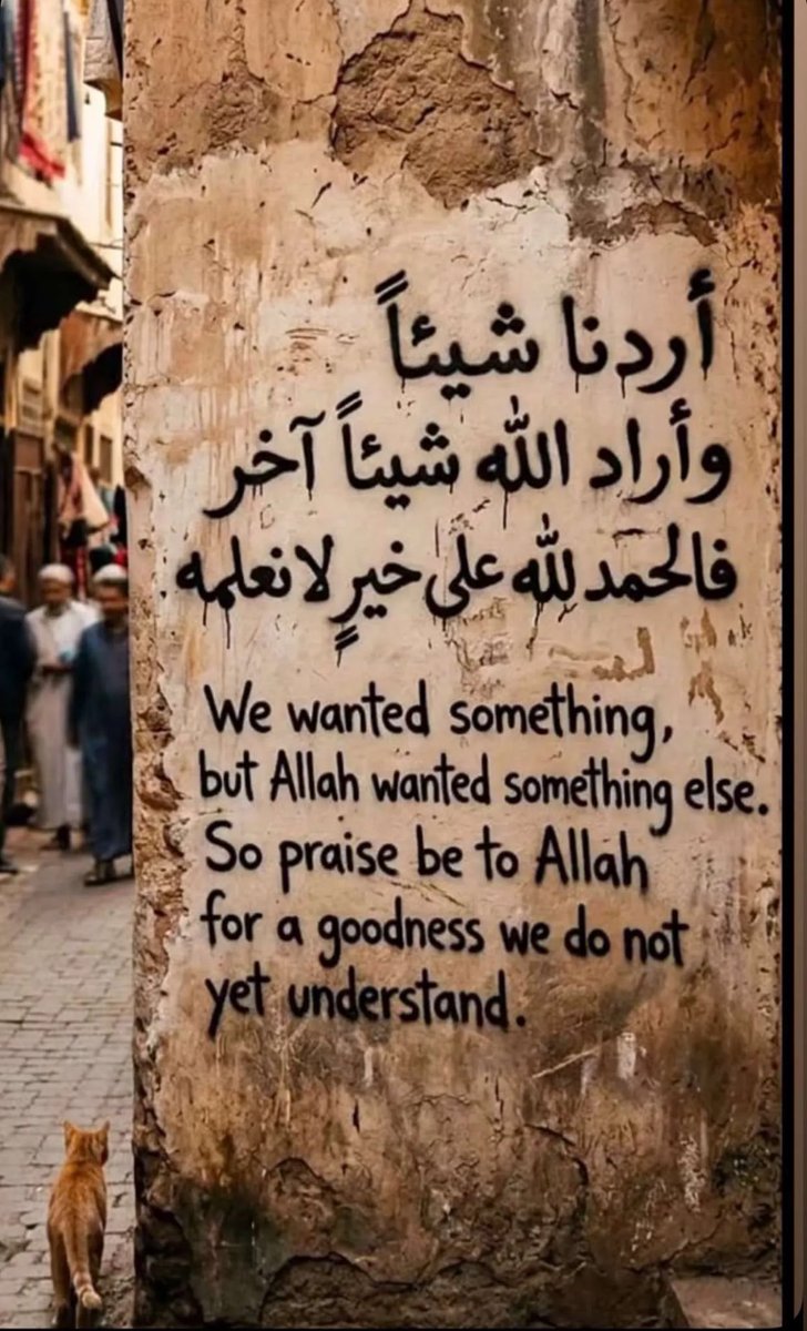 Noorark's tweet photo. https://t.co/Q4ZEGXd16T