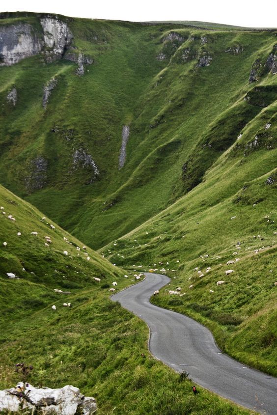 greenvibe's tweet photo. Some roads are worth taking slowly. https://t.co/75j0LF6O8q
