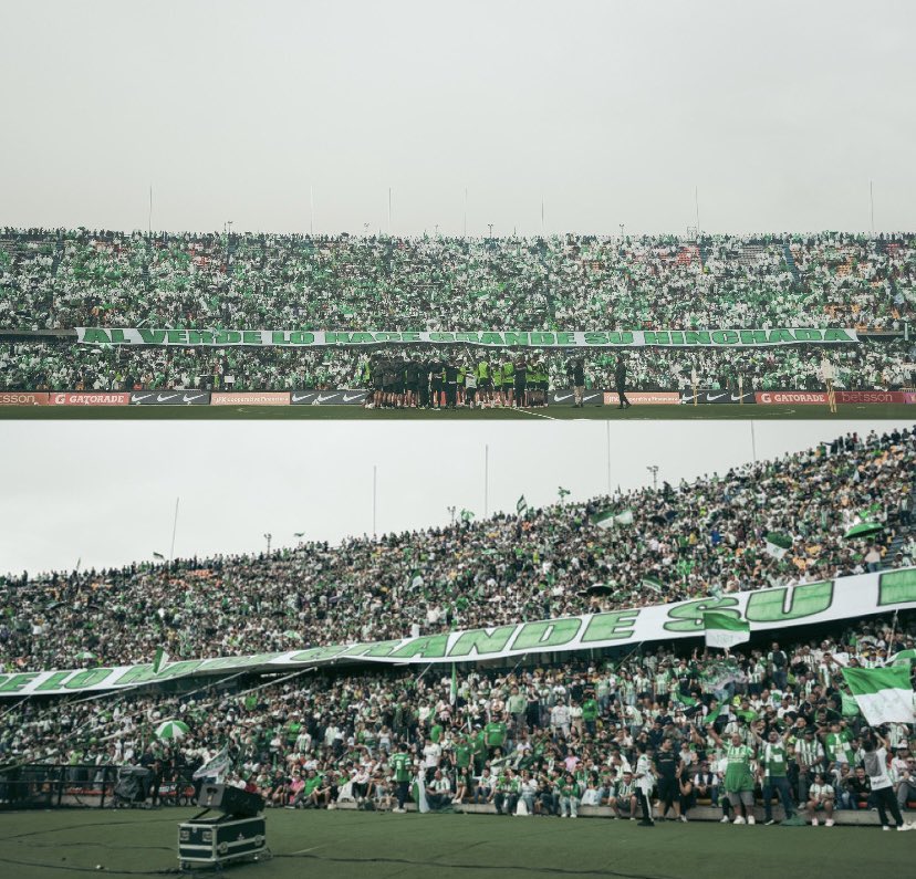 ArmasGiorgio's tweet photo. Nunca dejaré este barco. Soy Verdolaga y moriré Verdolaga. No me importa el resultado. GANEN HDP! @nacionaloficial 💚🔪 https://t.co/HtNnwfjTBp