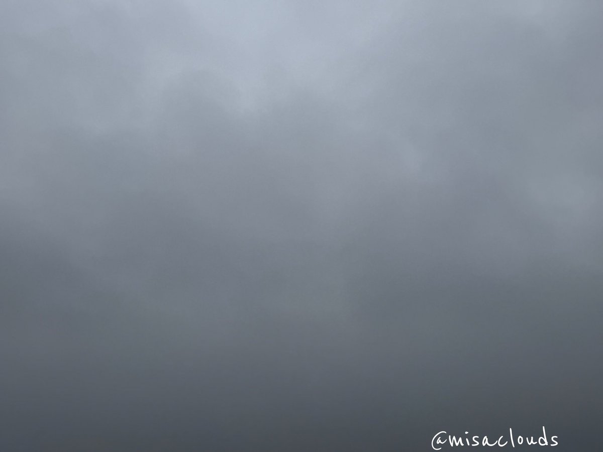 misaclouds's tweet photo. 朝。前線性のしとしと雨。
#イマソラ https://t.co/ZDYGE7tok9