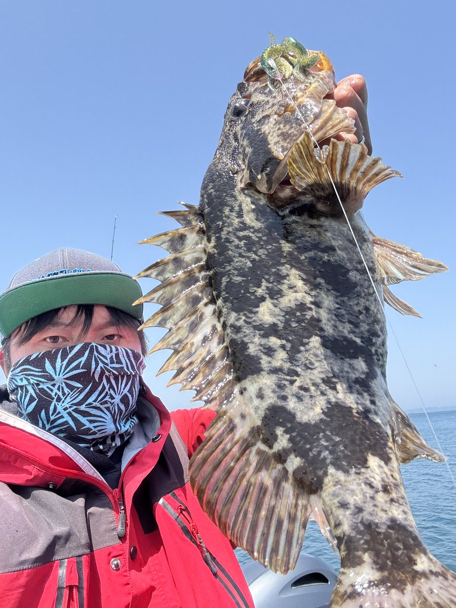 373shoeimaru's tweet photo. イージーラボ 北海グリーンゴールドでグッドサイズの初夏ベッコウゾイ🔥
ガツン！とナイスバイト気持ち良すぎ✨
釣果ストックでした！
#フィッシングガイド勝栄丸
#ボートロックフィッシュ
#イージーラボ
#PR https://t.co/ffsu52rLxG