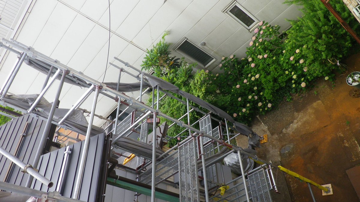 oi21com's tweet photo. #長岡市の空模様
学校町1:08日(月)。時間を見つけて実家の家庭菜園の葡萄を摘粒しています。日々の管理が大事だがなかなか進まず。 https://t.co/1iM5eMJCy9 の長岡の時間予報は6時から 曇り/曇り/曇り/小雨/小雨/小雨/弱雨 予想気温21から24℃。写真は07:45東側窓の外。 https://t.co/D1fCsZLyJD