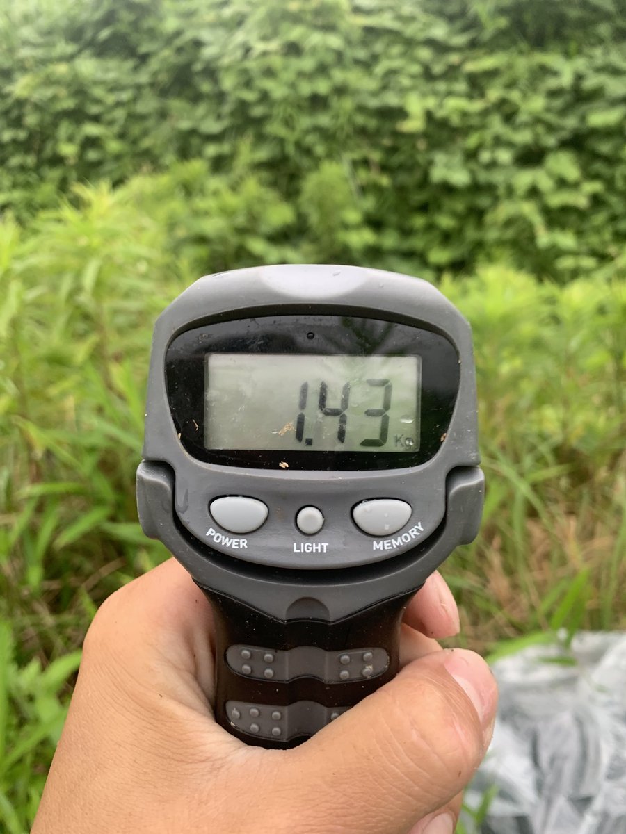 piroakigorilla's tweet photo. 釣りたく〜なった時の分まで
釣れなく〜なった時の分まで
もう1匹もう1匹！！
ってMr.Childrenに歌ってほしい笑笑 https://t.co/M4P5Vc5kWx