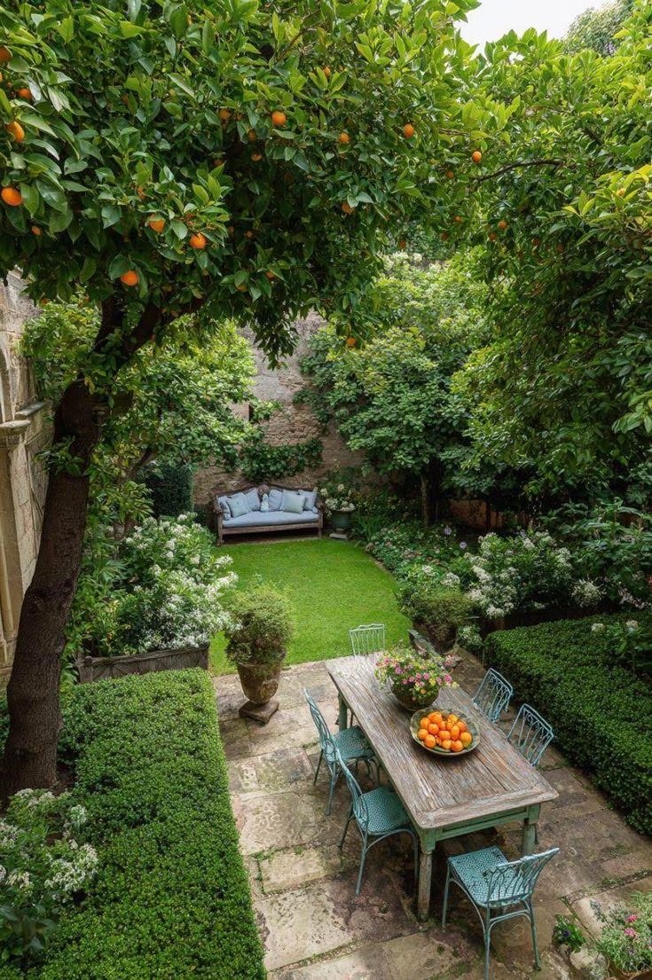 greenvibe's tweet photo. Hidden among the orange trees. https://t.co/bp9w33fzWw