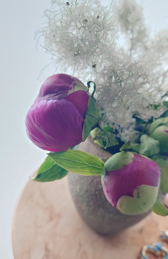 asasasuzz's tweet photo. まぶたは開かないけど
芍薬は開いてきました
よき日に https://t.co/PYX0HxEzQs