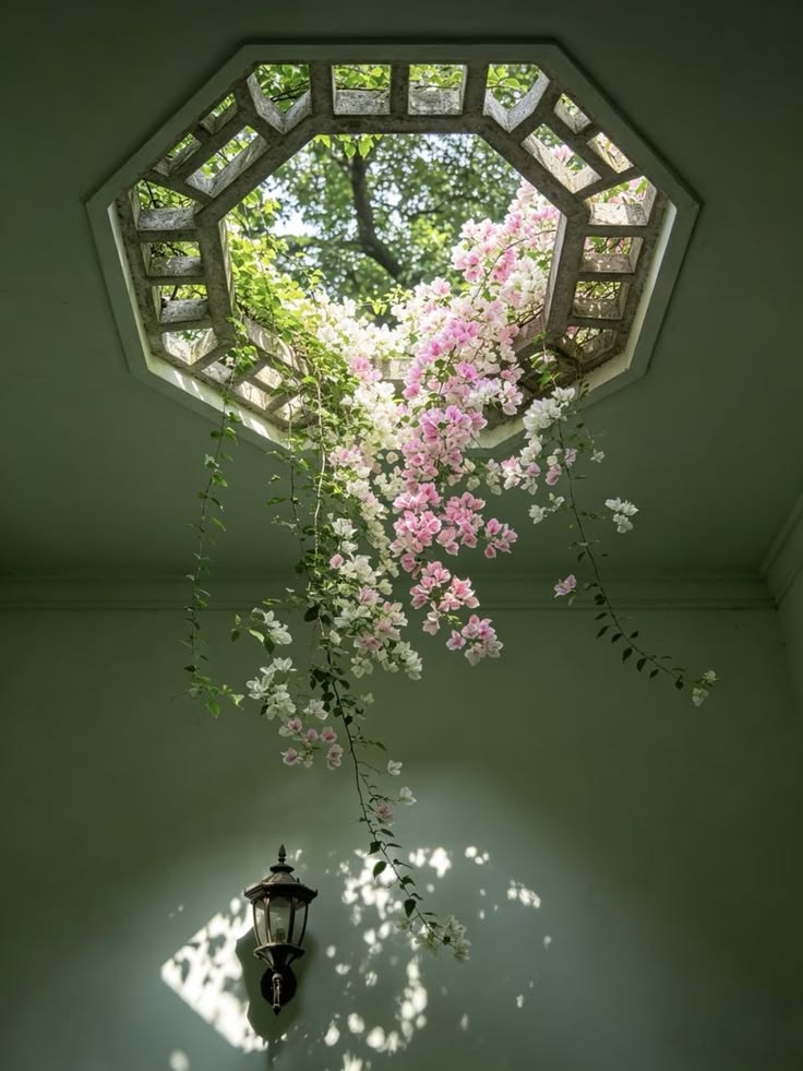 greenvibe's tweet photo. Flowers https://t.co/sXvwPfMP9l