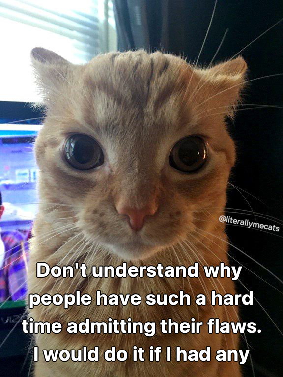 literallymecats's tweet photo. https://t.co/VVLsvzBl4N
