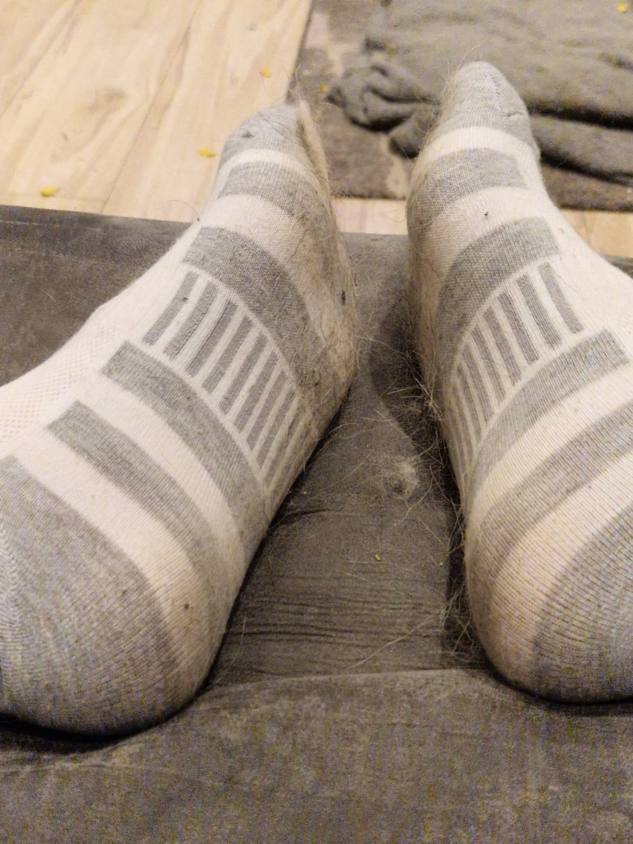 DanAwesome's tweet photo. Yano this is pretty cute but the fury socks everyday is getting on me tit's https://t.co/sTdpBm2o7l