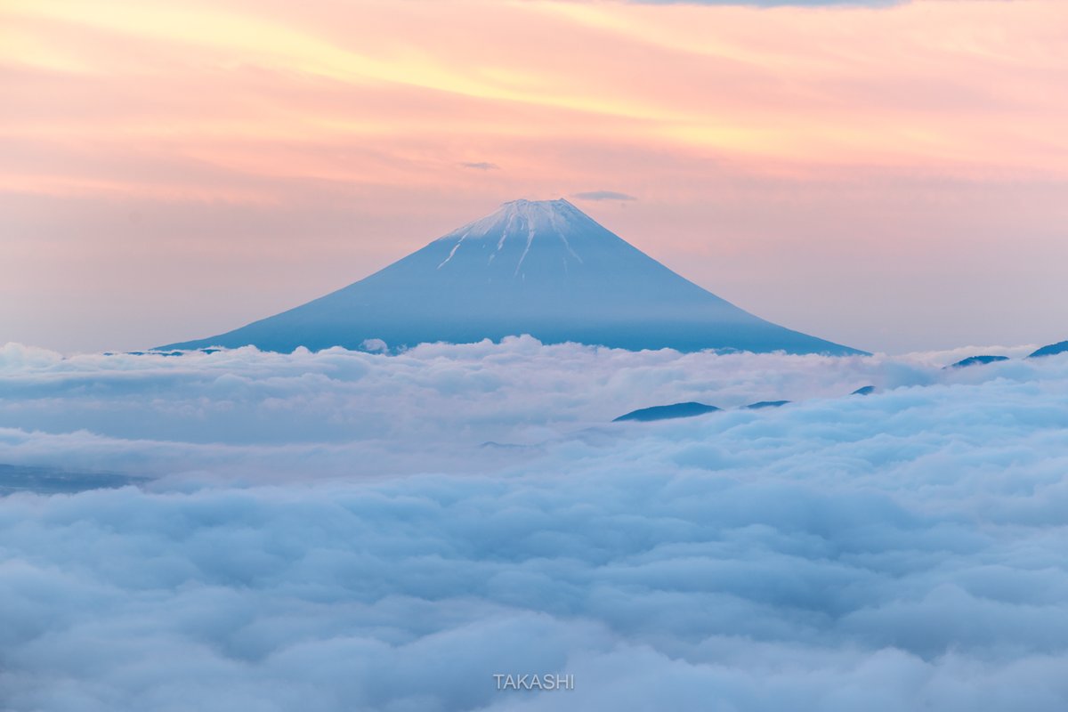 Takashi_LF's tweet photo. 🗻
朝焼けと雲の海

Mount Fuji floating in a sea of ​​clouds and a sky colored by the morning glow. https://t.co/JzcMDlz1ub