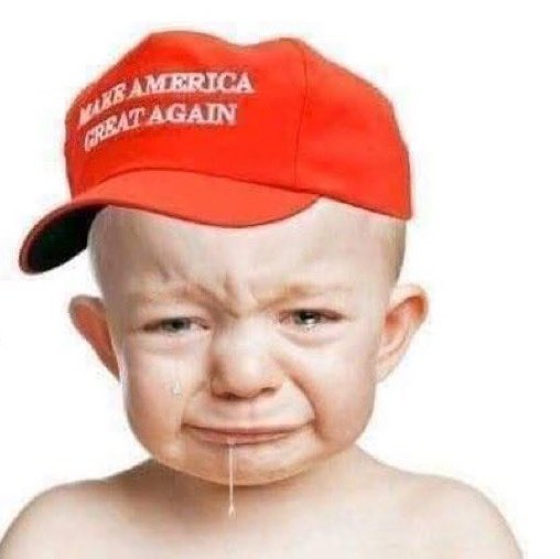 Sm1rt001's tweet photo. @GaltRand13 @JoJoFromJerz I am not loyal to a party or politician.  It's very empowering to care about right and wrong over worshipping a politician. https://t.co/uxcWwyIntI