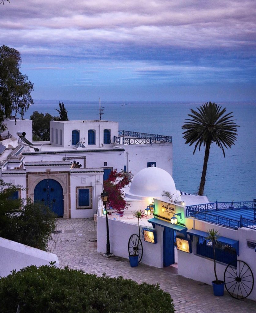 aseelswaid9's tweet photo. Tunisia https://t.co/rkGDTRoSiz