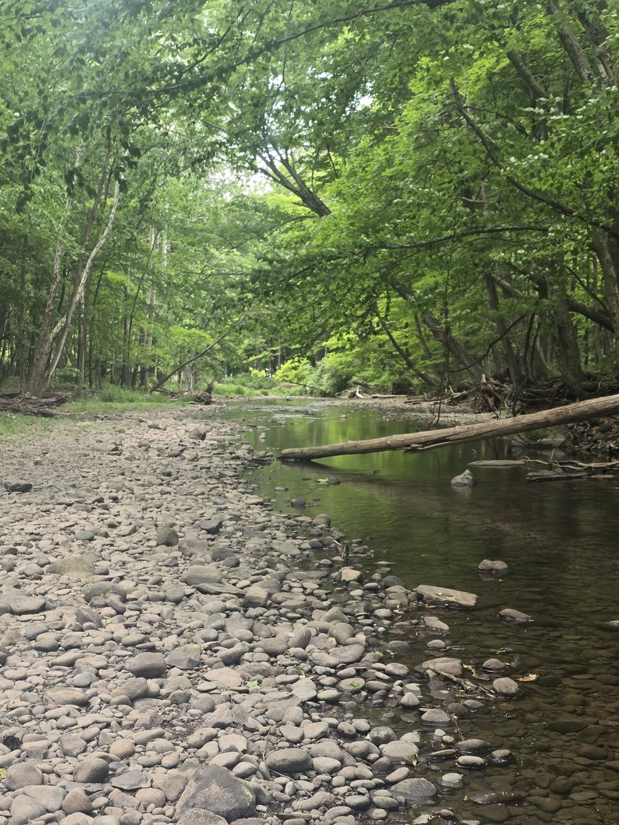 Earthtorenee_'s tweet photo. 📍Woodstock,NY https://t.co/glfQiafzDo